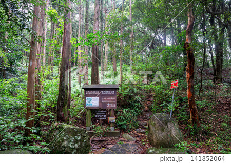 屋久島世界自然遺産モッチョム岳　登山口(夏 141852064