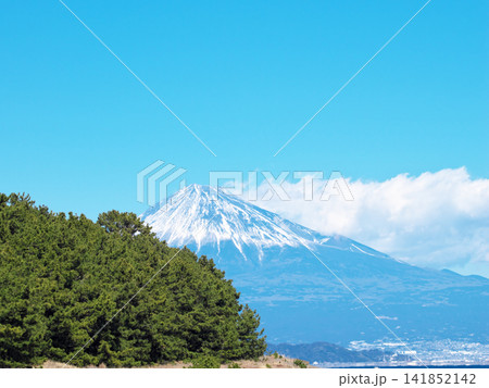 三保松原の海岸から富士山を望む 三保松原の海岸から富士山を望む 141852142