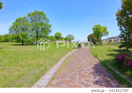 神戸市北区の市街地風景 神戸市北区の市街地風景 141852797