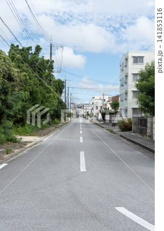 木々や電柱や家々が両側にある住宅地の片道一車線の直線の道 141853116