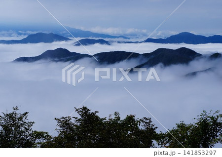 雁ケ腹摺山からの三つ峠大雲海 雁ケ腹摺山からの三つ峠大雲海 141853297