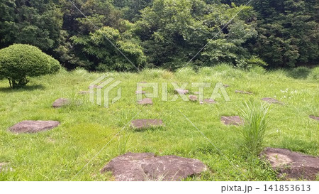 大野城 北石垣付近の主城原礎石群 大野城 北石垣付近の主城原礎石群 141853613