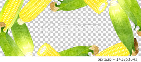 Corn frame, hand-drawn watercolor illustration background of summer vegetables Corn frame, hand-drawn watercolor illustration background of summer vegetables 141853643
