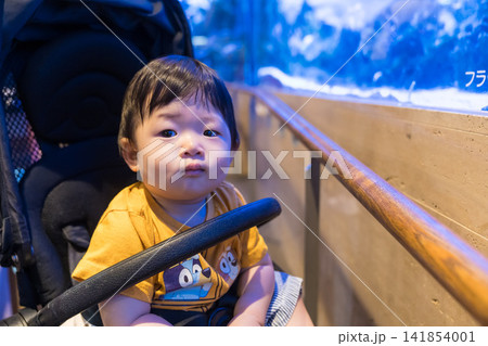 水族館のベビーカーで水槽をみる日本人の男の赤ちゃん 水族館のベビーカーで水槽をみる日本人の男の赤ちゃん 141854001