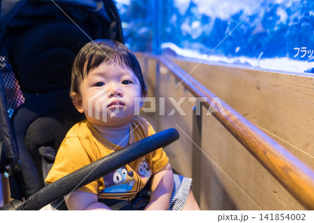 水族館のベビーカーで水槽をみる日本人の男の赤ちゃん 141854002