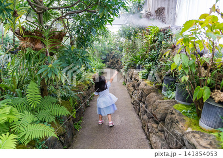 熱帯植物園の緑あふれる小道で振り返る日本人の女の子の幼児 熱帯植物園の緑あふれる小道で振り返る日本人の女の子の幼児 141854053