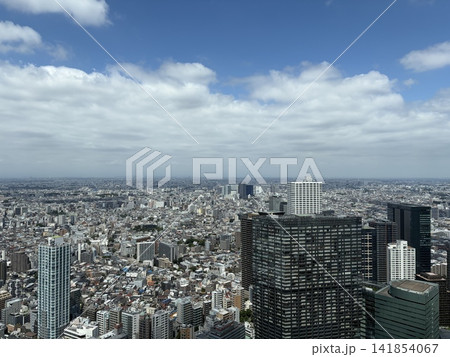 展望台から望む新宿の高層ビル群とスカイツリー遠望 展望台から望む新宿の高層ビル群とスカイツリー遠望 141854067