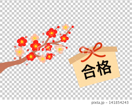 Cherry blossoms in full bloom, along with votive tablets praying for success in exams. Cherry blossoms in full bloom, along with votive tablets praying for success in exams. 141854243