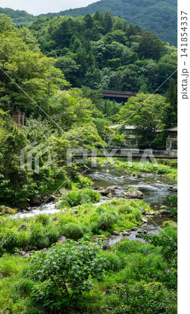 新緑と清流に包まれる塩原温泉郷の山ゆりの吊橋(那須塩原市) 新緑と清流に包まれる塩原温泉郷の山ゆりの吊橋(那須塩原市) 141854337
