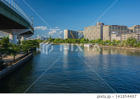夏の大川風景 大阪市 夏の大川風景 大阪市 141854487