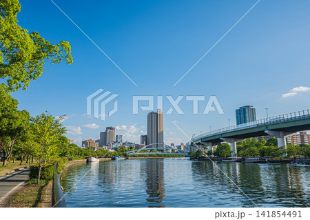 夏の大川風景 大阪市 夏の大川風景 大阪市 141854491