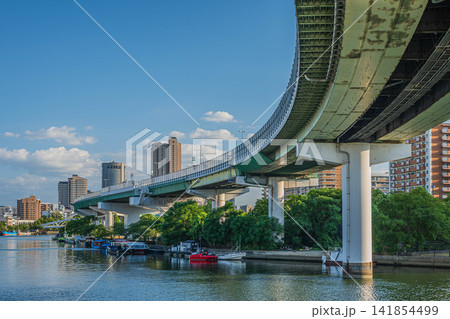 夏の大川風景 大阪市 夏の大川風景 大阪市 141854499