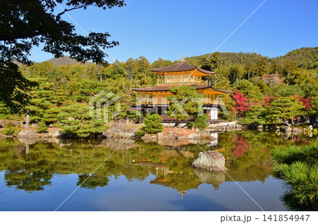 秋の京都・金閣寺 141854947