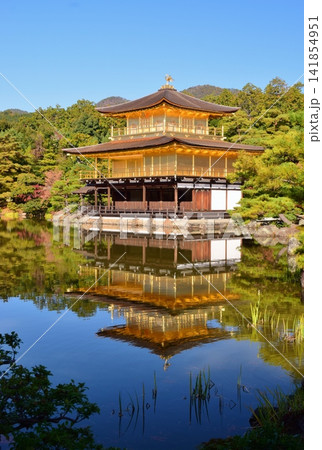 秋の京都・金閣寺 141854951