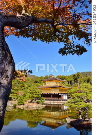 秋の京都・金閣寺 秋の京都・金閣寺 141854952