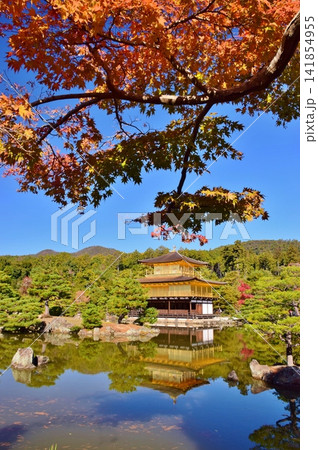 秋の京都・金閣寺 141854955