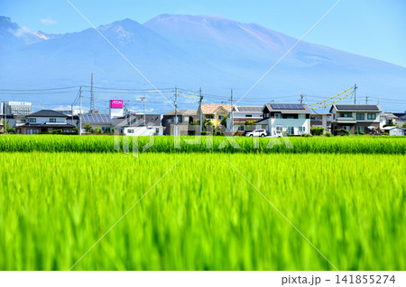 佐久平駅周辺、浅間山方面を望む(長野県佐久市)【2026.8】 佐久平駅周辺、浅間山方面を望む(長野県佐久市)【2026.8】 141855274