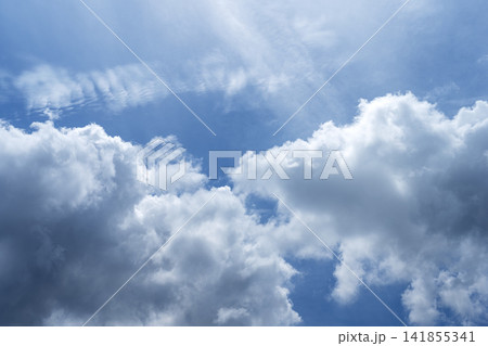 夏の空 青空 空 夏 8月 イメージ 【神奈川県】 141855341