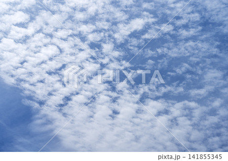 夏の空 青空 空 夏 8月 イメージ 【神奈川県】 夏の空 青空 空 夏 8月 イメージ 【神奈川県】 141855345