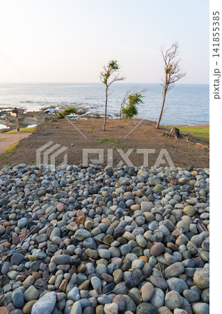 石に覆われた岬と海辺に立つ木々 石に覆われた岬と海辺に立つ木々 141855385