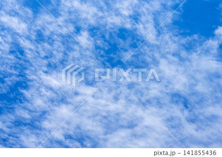 夏の空 青空 空 夏 8月 イメージ 【神奈川県】 141855436