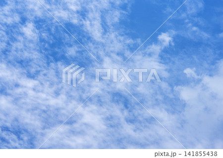 夏の空 青空 空 夏 8月 イメージ 【神奈川県】 141855438