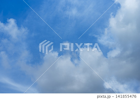 夏の空 青空 空 夏 8月 イメージ 【神奈川県】 141855476