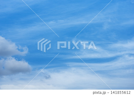 夏の空 青空 空 夏 8月 イメージ 【神奈川県】 141855612