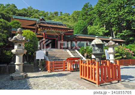 紀州東照宮唐門と百日紅 紀州東照宮唐門と百日紅 141855705