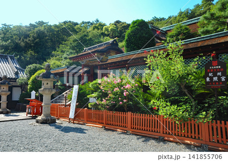 紀州東照宮唐門と百日紅 紀州東照宮唐門と百日紅 141855706