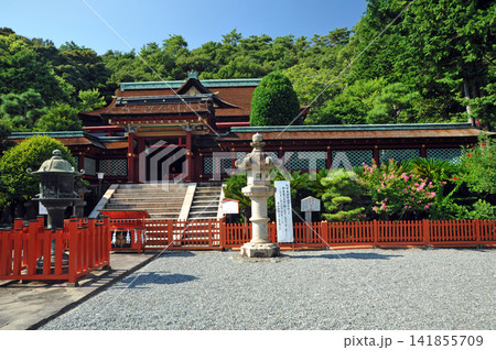 紀州東照宮唐門と百日紅 紀州東照宮唐門と百日紅 141855709