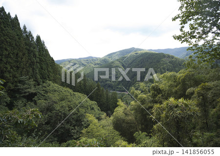 夏の檜原村の山 141856055
