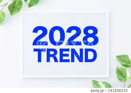2028TRENDの文字のホワイトボード 2028TRENDの文字のホワイトボード 141856535