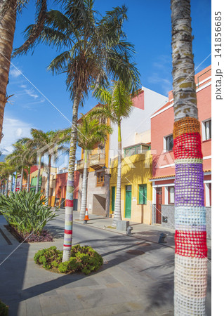 Beautiful Canarian street in Puerto de la Cruz Tenerife with knitted palm trees and copy space Beautiful Canarian street in Puerto de la Cruz Tenerife with knitted palm trees and copy space 141856685