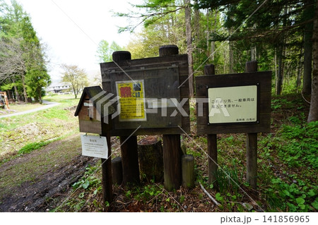 5月上旬の姫川源流(長野県白馬村) 5月上旬の姫川源流(長野県白馬村) 141856965