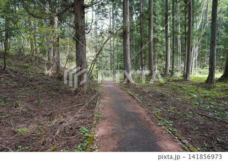 5月上旬の姫川源流(長野県白馬村) 5月上旬の姫川源流(長野県白馬村) 141856973