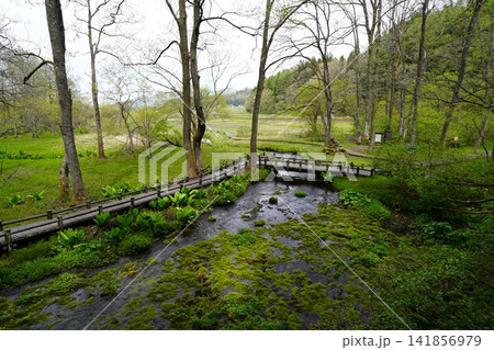 5月上旬の姫川源流(長野県白馬村) 5月上旬の姫川源流(長野県白馬村) 141856979