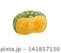 半分にカットしたかぼちゃのイラスト 141857130