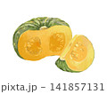 断面の見えるかぼちゃのイラスト 141857131