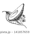 Half ripe avocado with flowers and a long leaf, hand drawn vector ink engraving style. Monochrome line artwork element for vegan food packaging, premium skincare branding and botanical art print. 141857659