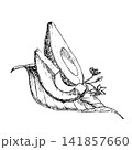 Half ripe avocado with slice and a long leaf with flowers hand drawn vector ink engraving style. Monochrome line artwork element for vegan food packaging, premium skincare branding and botanical art 141857660