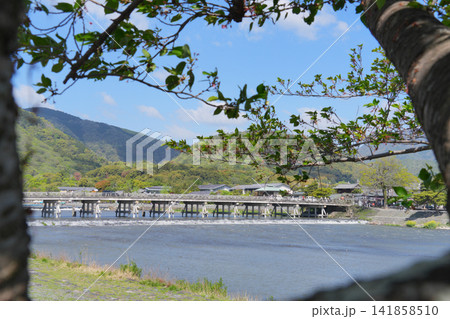 新緑の木々に縁取られた嵐山の渡月橋と桂川 新緑の木々に縁取られた嵐山の渡月橋と桂川 141858510