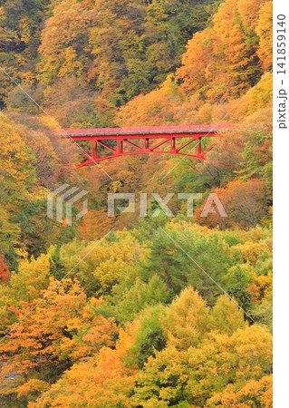 松川渓谷（秋）　高山村 141859140