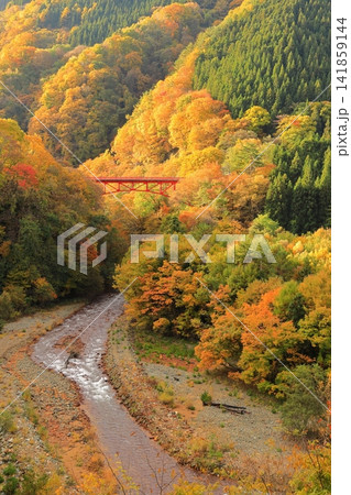 松川渓谷(秋) 高山村 松川渓谷(秋) 高山村 141859144