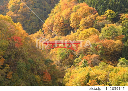 松川渓谷(秋) 高山村 松川渓谷(秋) 高山村 141859145