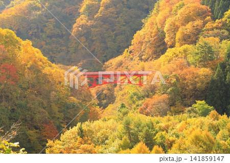 松川渓谷（秋）　高山村 141859147