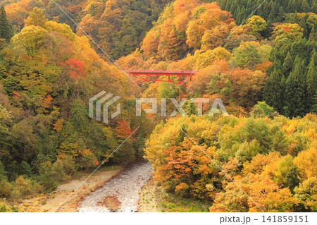 松川渓谷（秋）　高山村 141859151