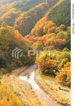 松川渓谷(秋) 高山村 松川渓谷(秋) 高山村 141859162
