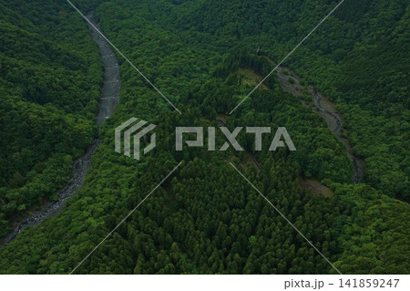 静岡市山間部の森林と河川を捉えた空撮写真 静岡市山間部の森林と河川を捉えた空撮写真 141859247