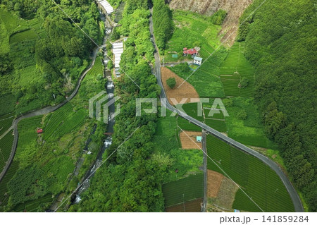 静岡県静岡市有東木の茶畑と棚田状農地を捉えた空撮写真 静岡県静岡市有東木の茶畑と棚田状農地を捉えた空撮写真 141859284